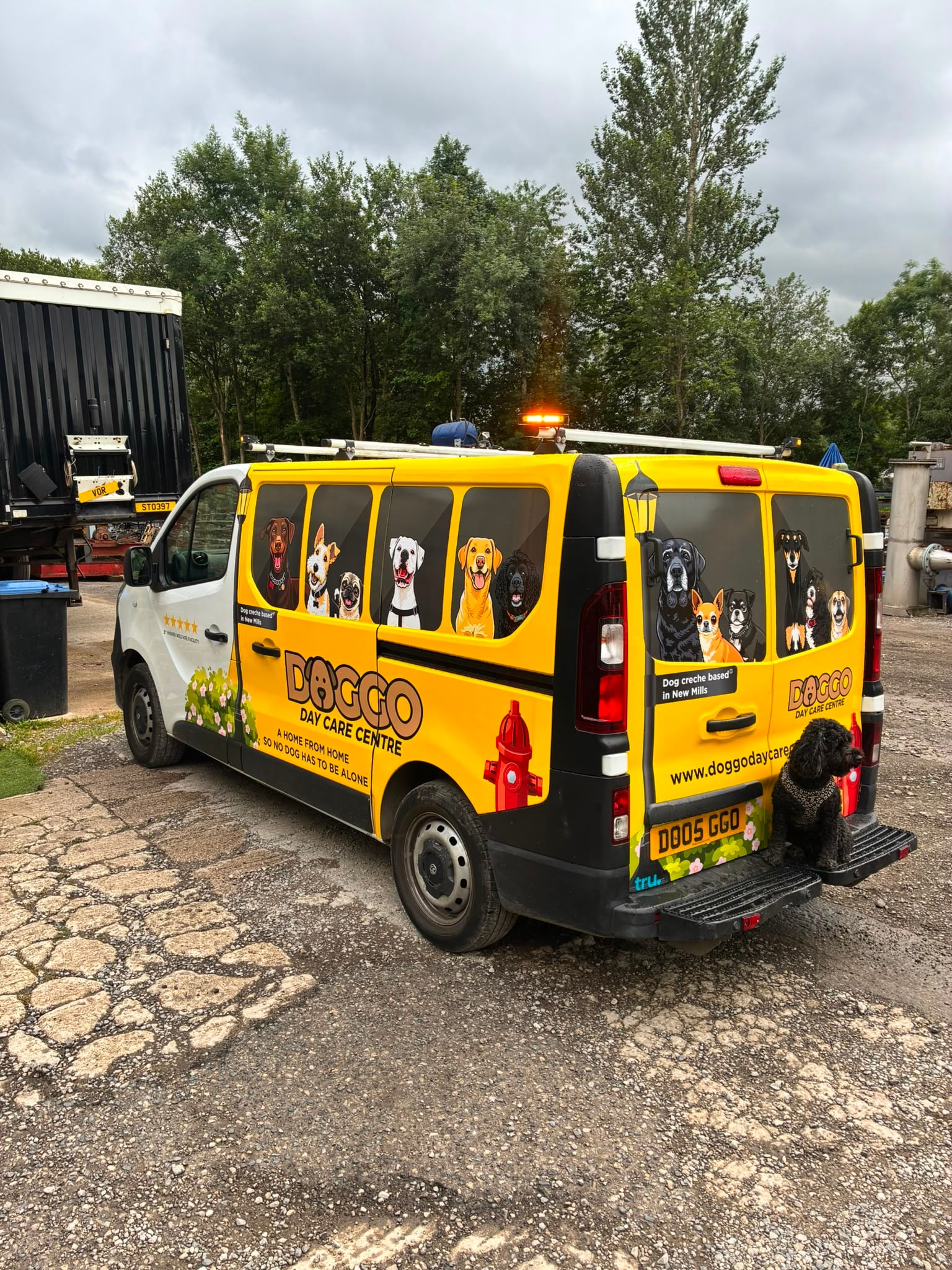 Vehicle wrap project